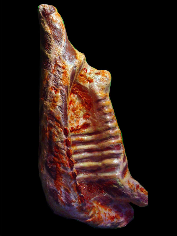 BUTCHERED BEEF PROP | Copyright © 2019 All Rights Reserved Matt Sherin Creations