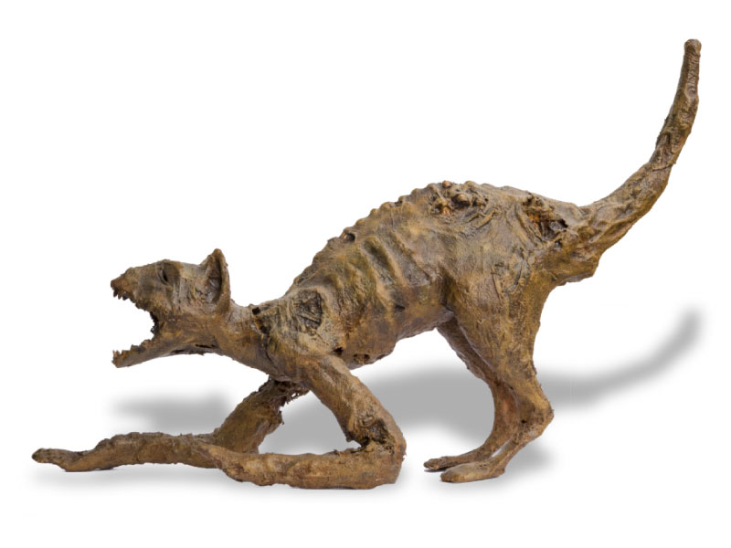 MUMMIFIED CAT | Copyright © 2019 All Rights Reserved Matt Sherin Creations