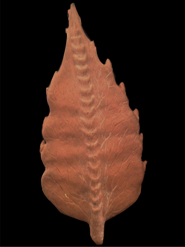 AUDREY II LEAF SCULPT